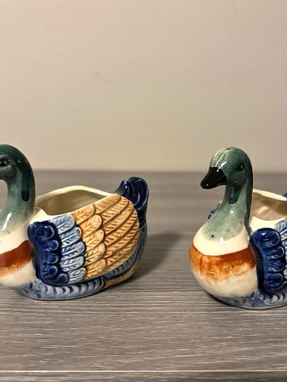 MARGEN Duck Planter Pair in Blue & Green